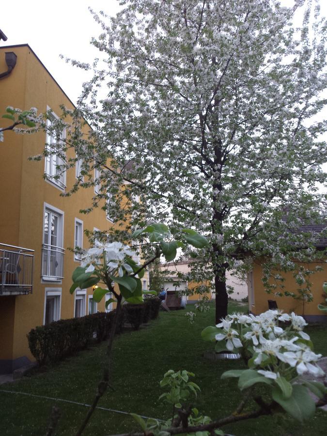 Pension Elisabeth ซังคท์เพิลเทน ภายนอก รูปภาพ